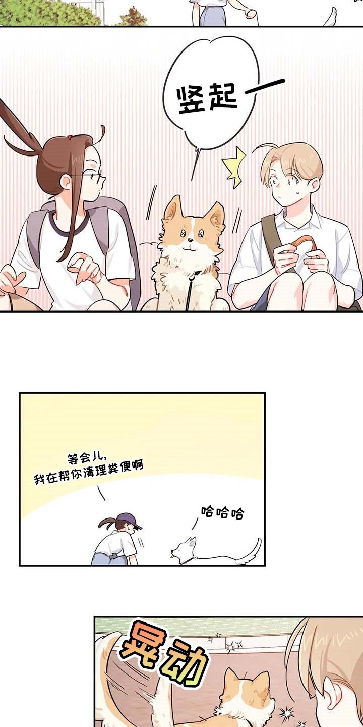 第38章：遗弃的狗狗
