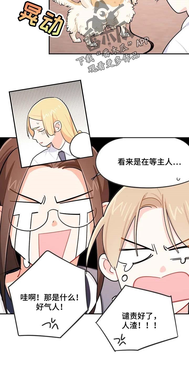第38章：遗弃的狗狗