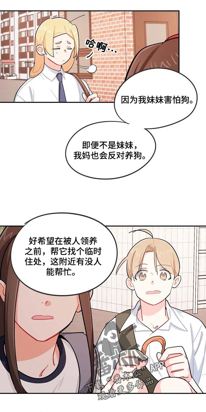第38章：遗弃的狗狗
