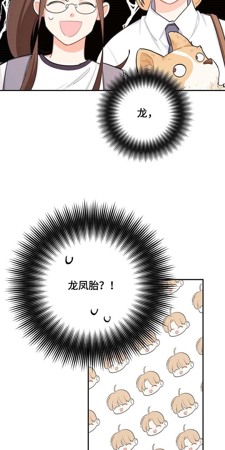第40章：烦人