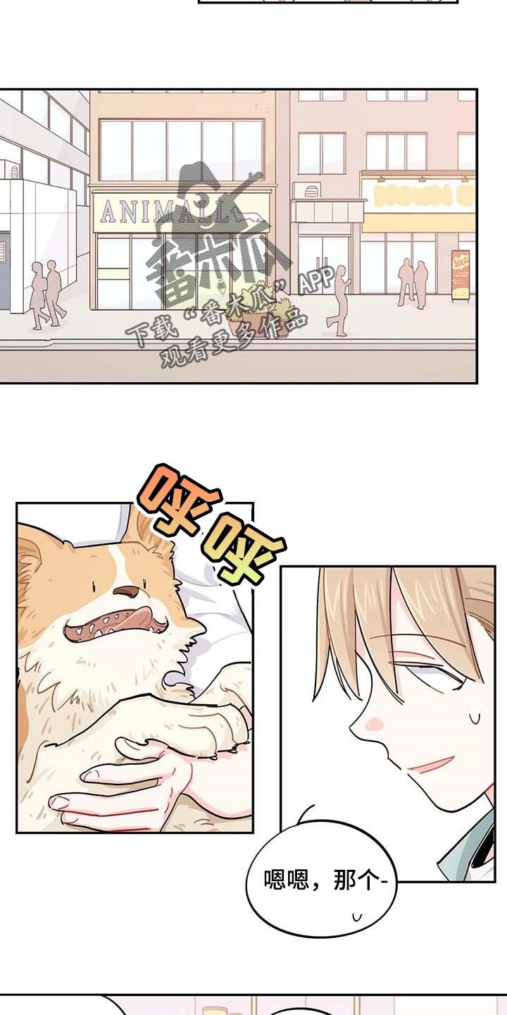 第40章：烦人