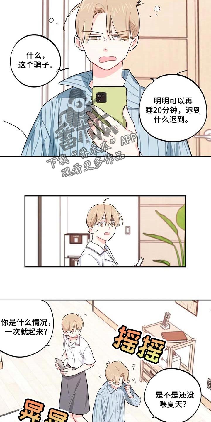 第43章：百分百过敏