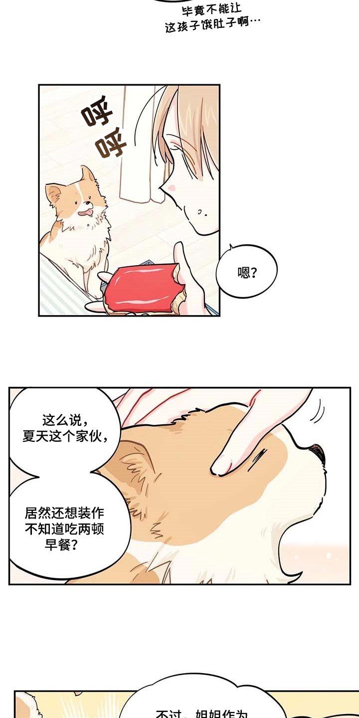 第43章：百分百过敏