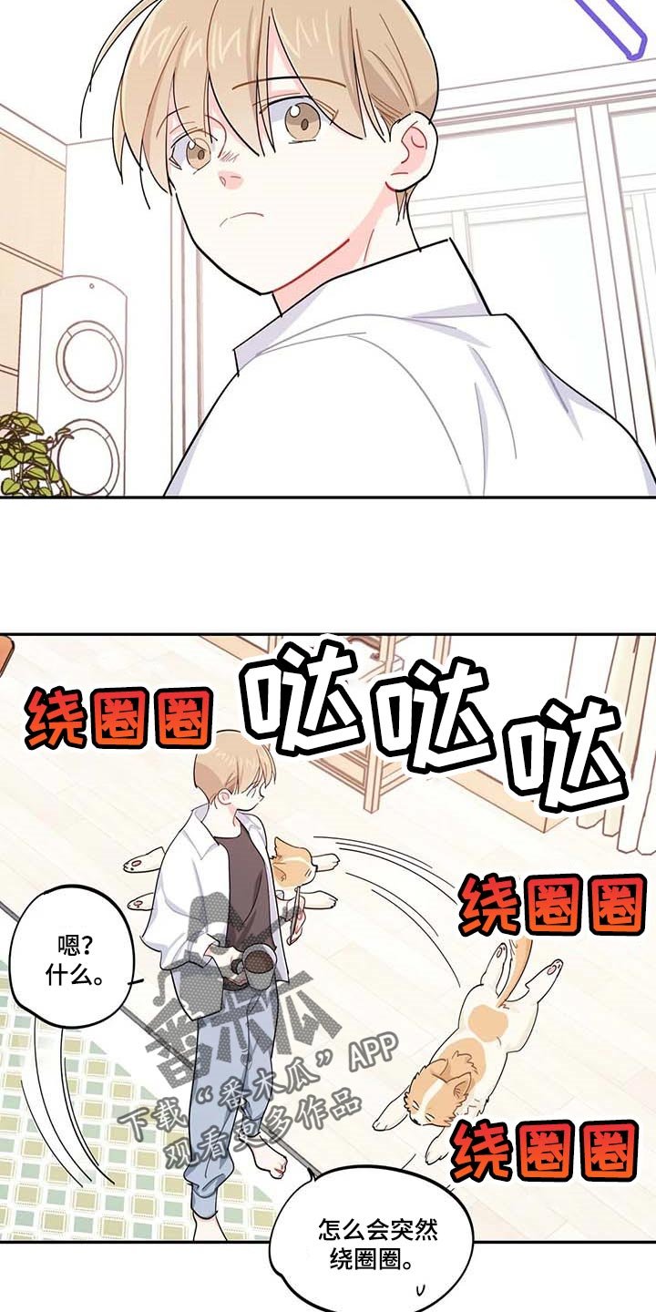 第43章：百分百过敏
