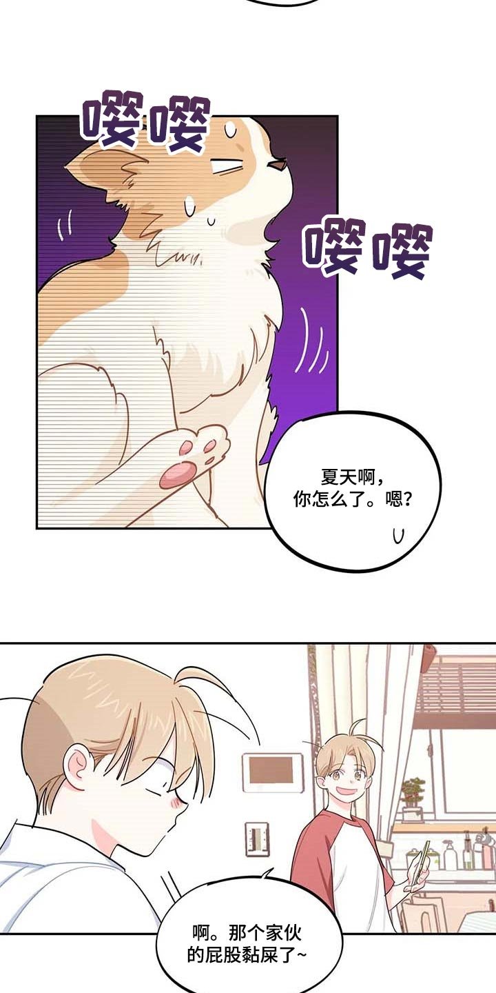第43章：百分百过敏