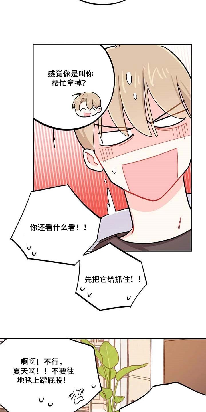 第43章：百分百过敏