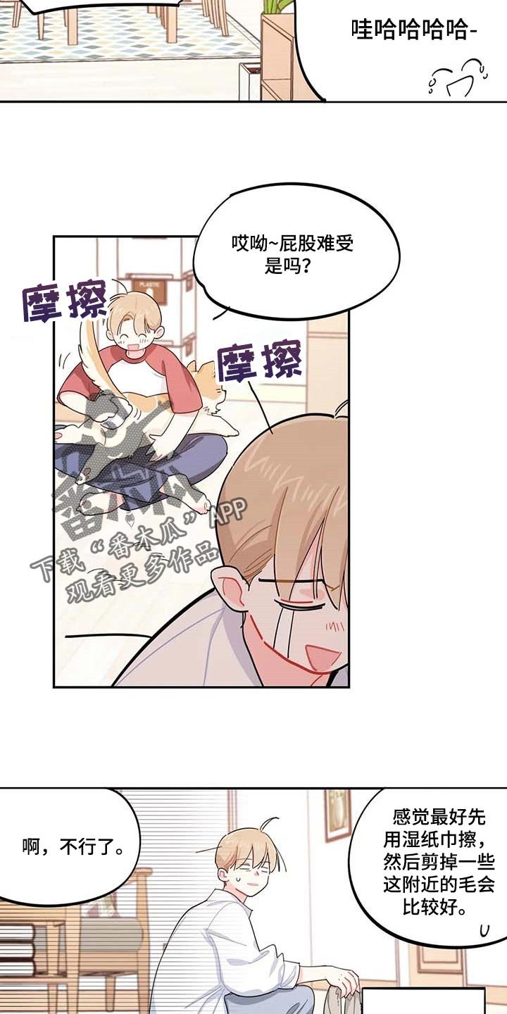 第43章：百分百过敏