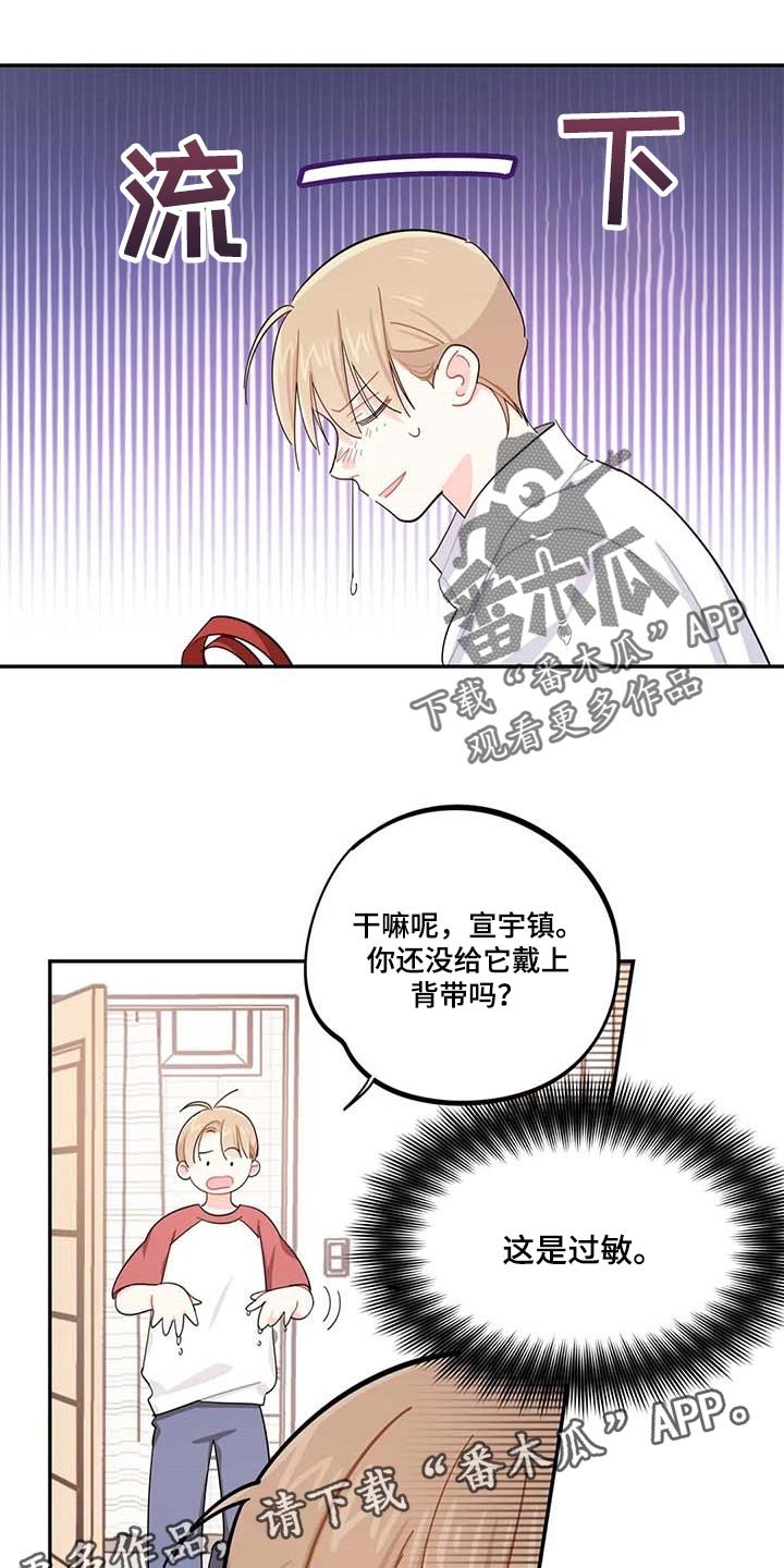 第43章：百分百过敏