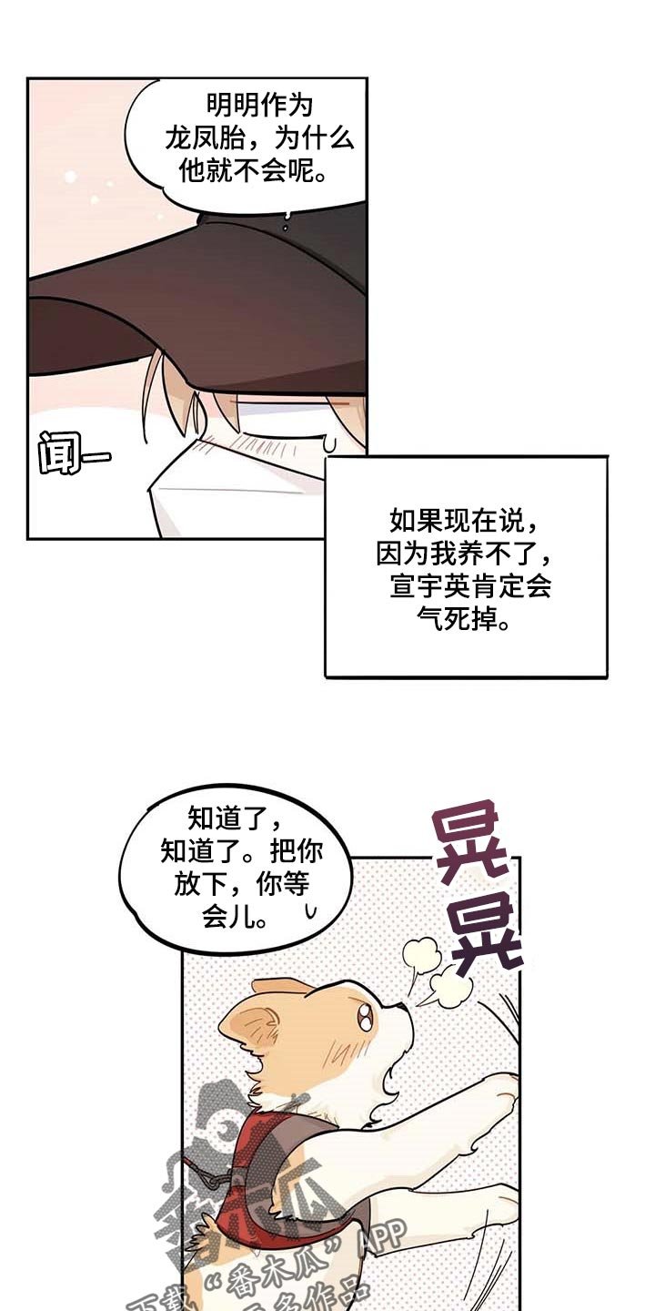 第44章：一起学习