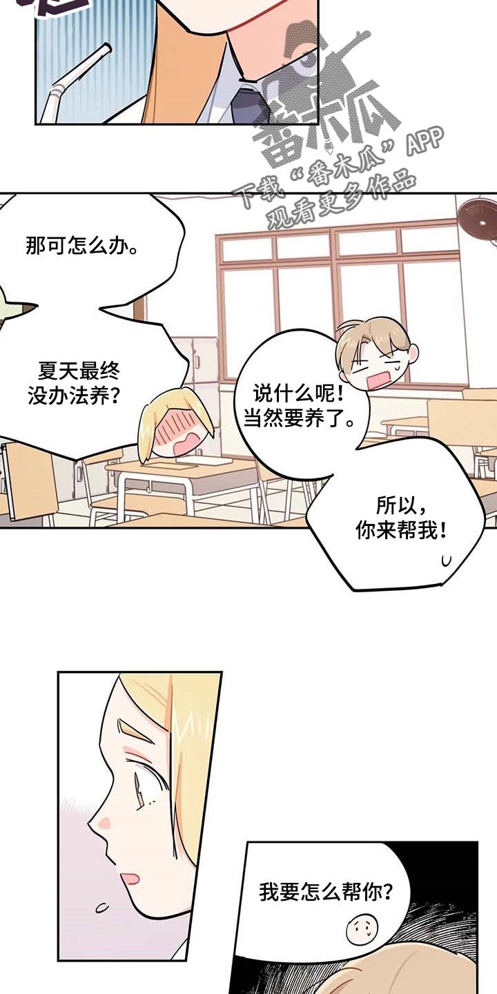 第44章：一起学习