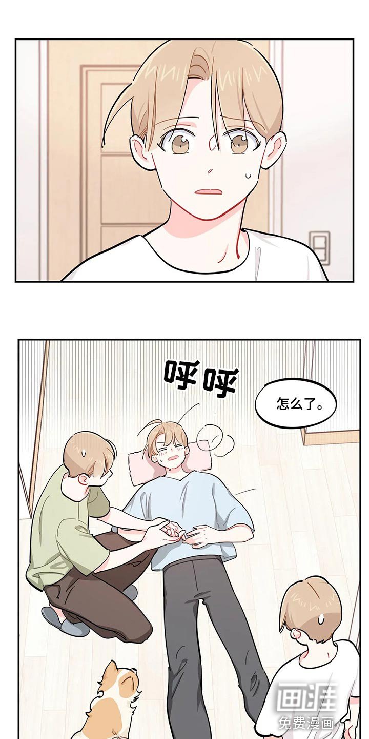 第51章：狗毛过敏