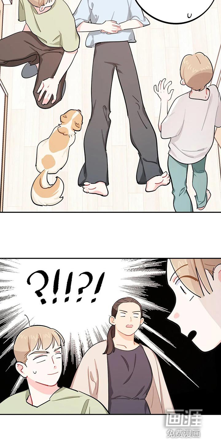 第51章：狗毛过敏