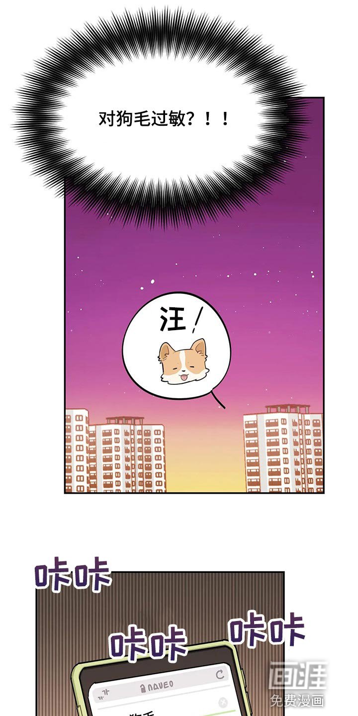 第51章：狗毛过敏