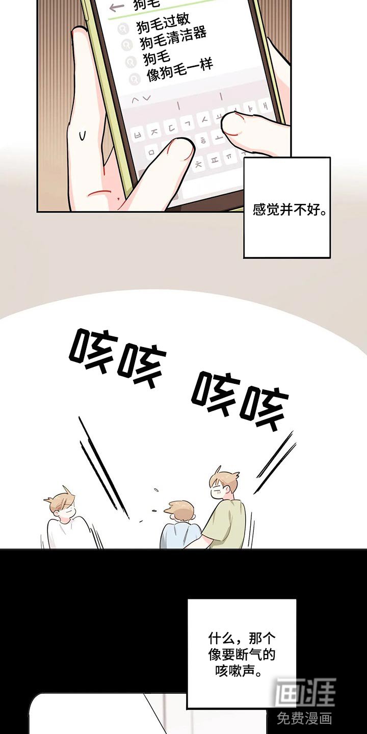 第51章：狗毛过敏