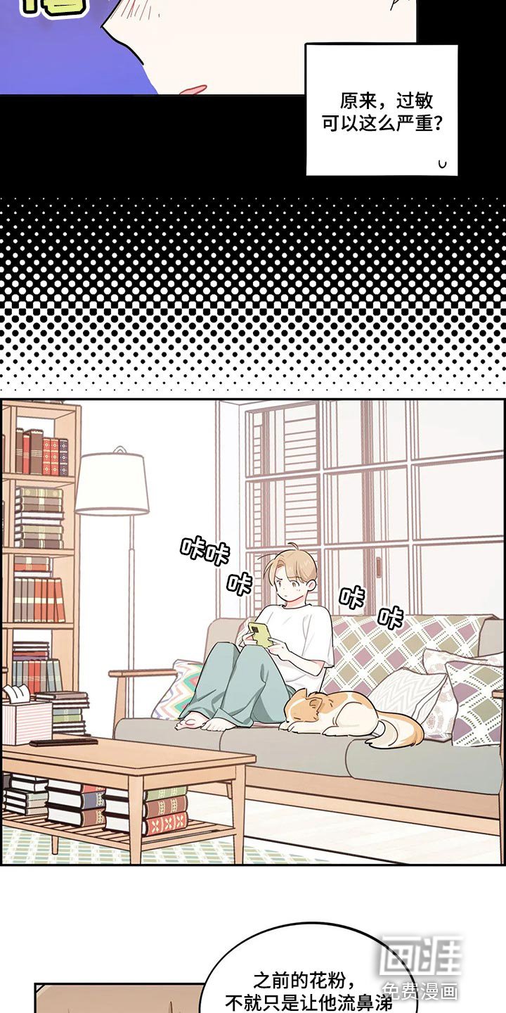 第51章：狗毛过敏