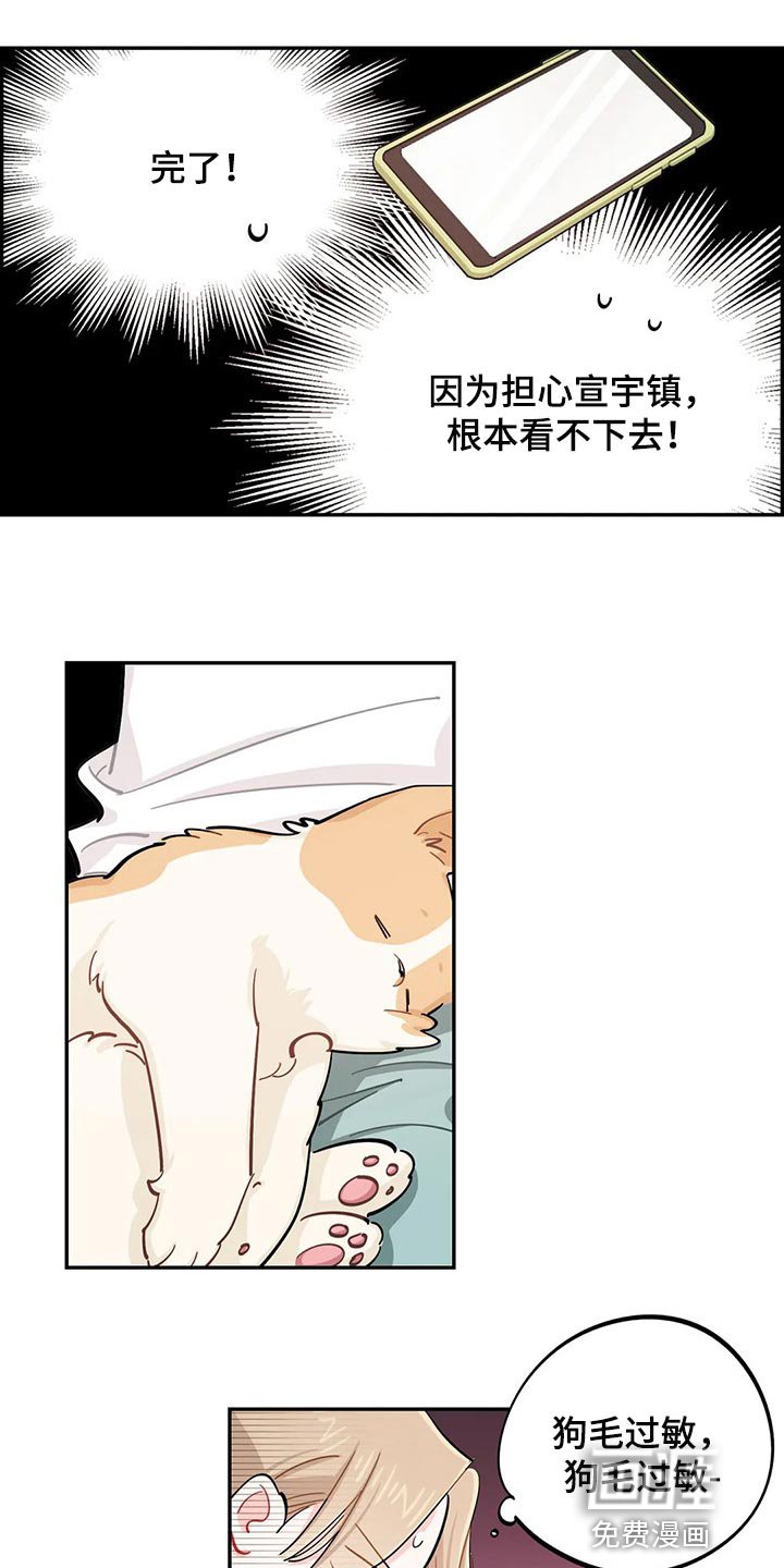 第51章：狗毛过敏