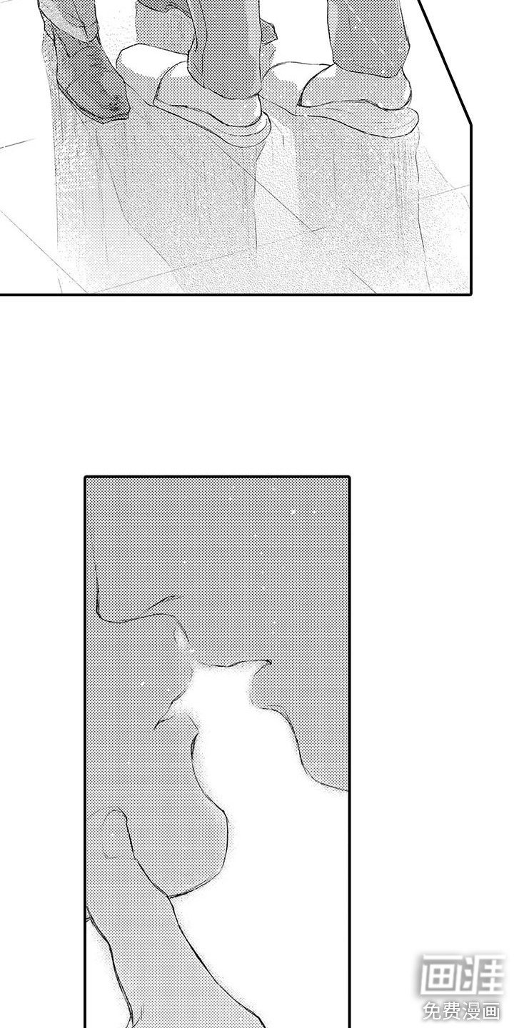 第13章：真心话 