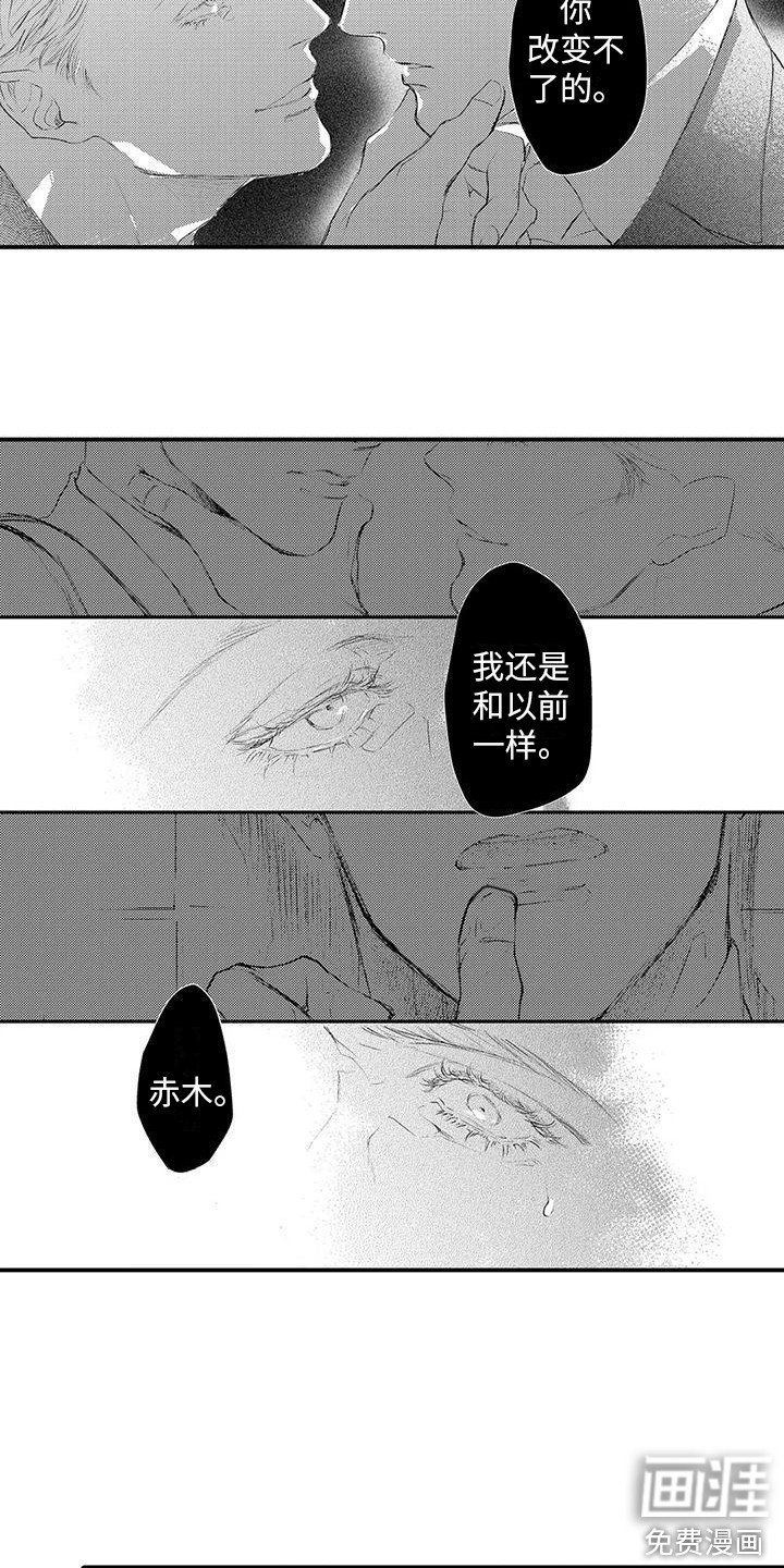 第17章： 开始行动