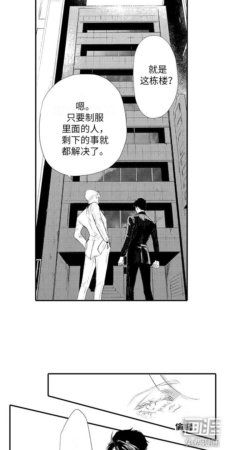 第17章： 开始行动
