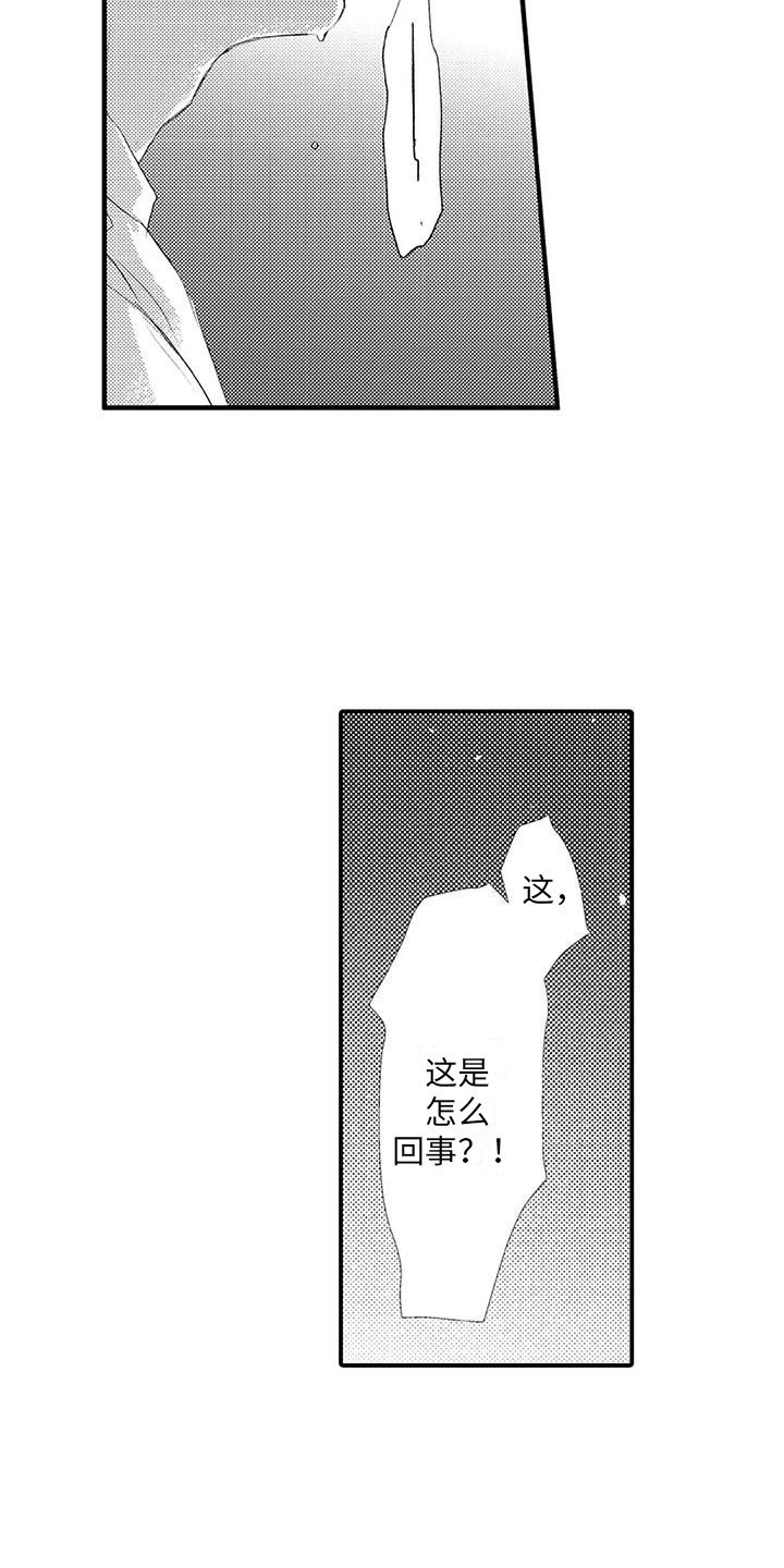 第3章：提议