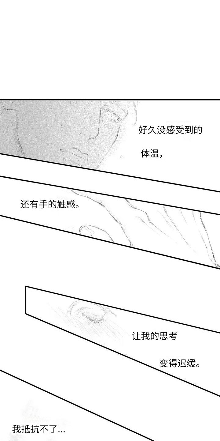 第3章：提议