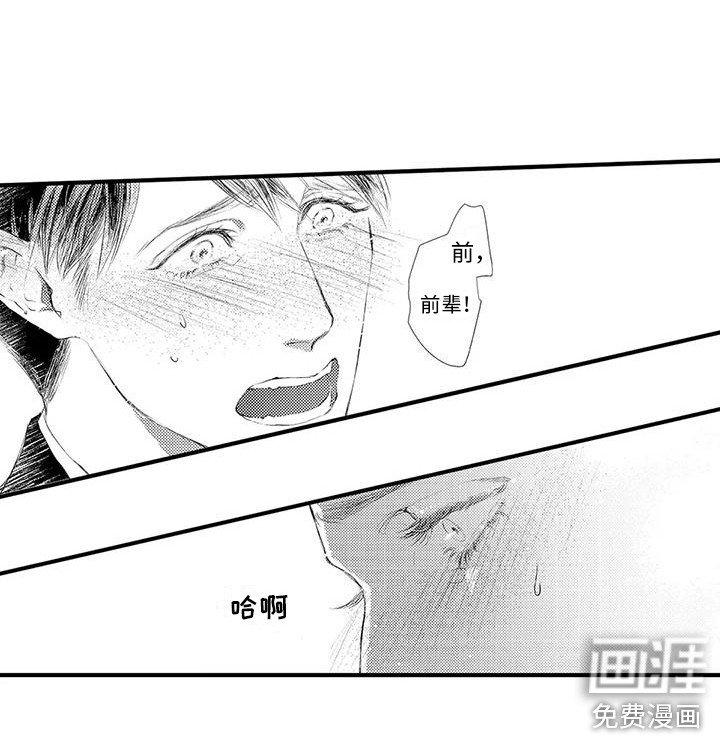 第5章：无法拒绝 