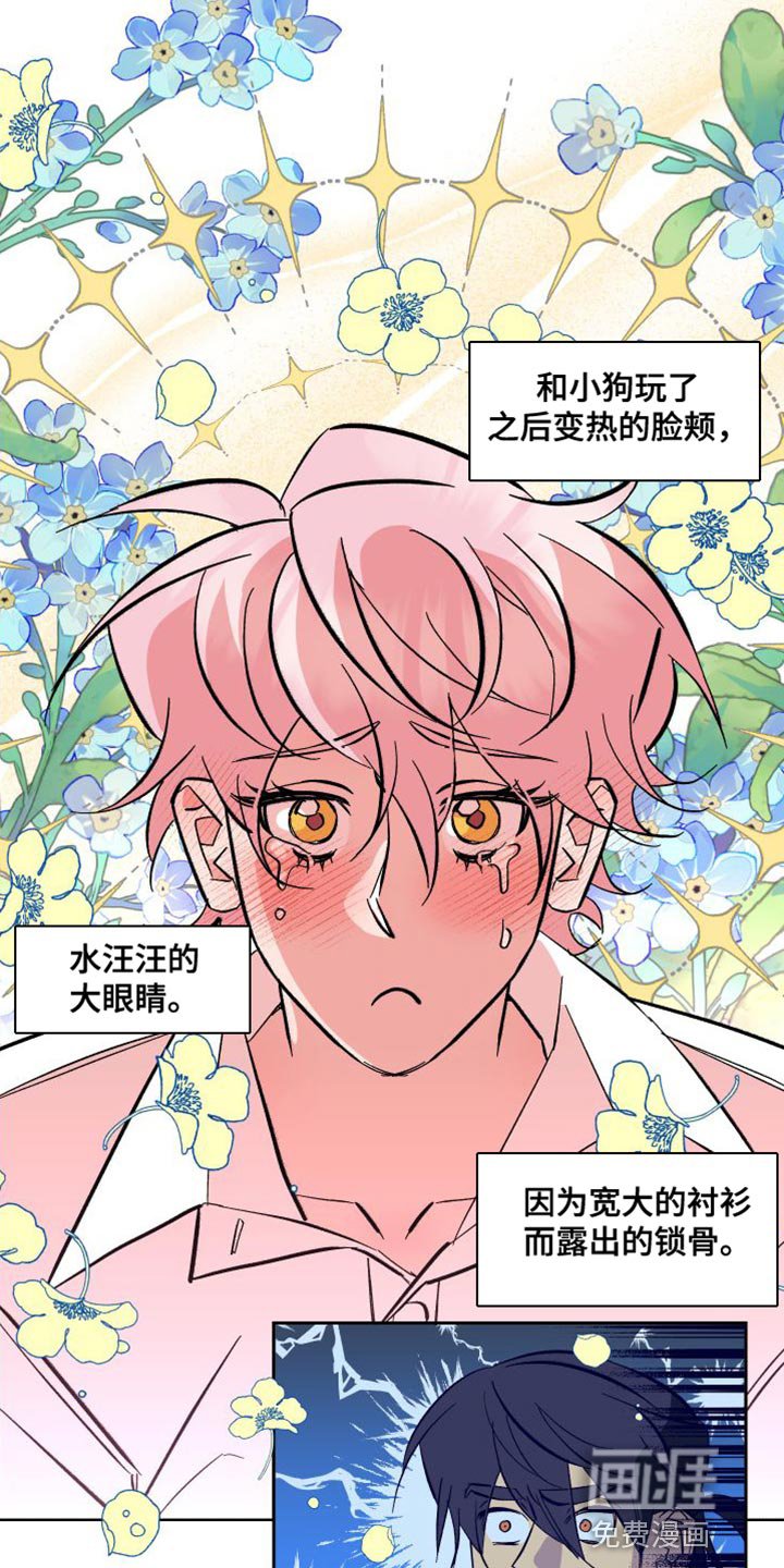 第18章：拼尽全力【完结】