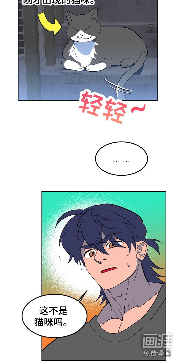 第8章：不见了
