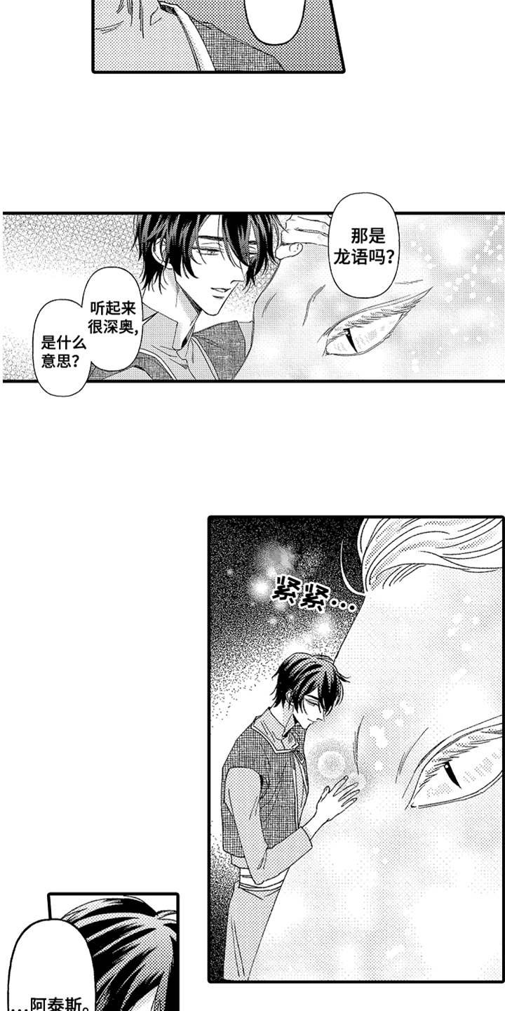 第10章：太美了
