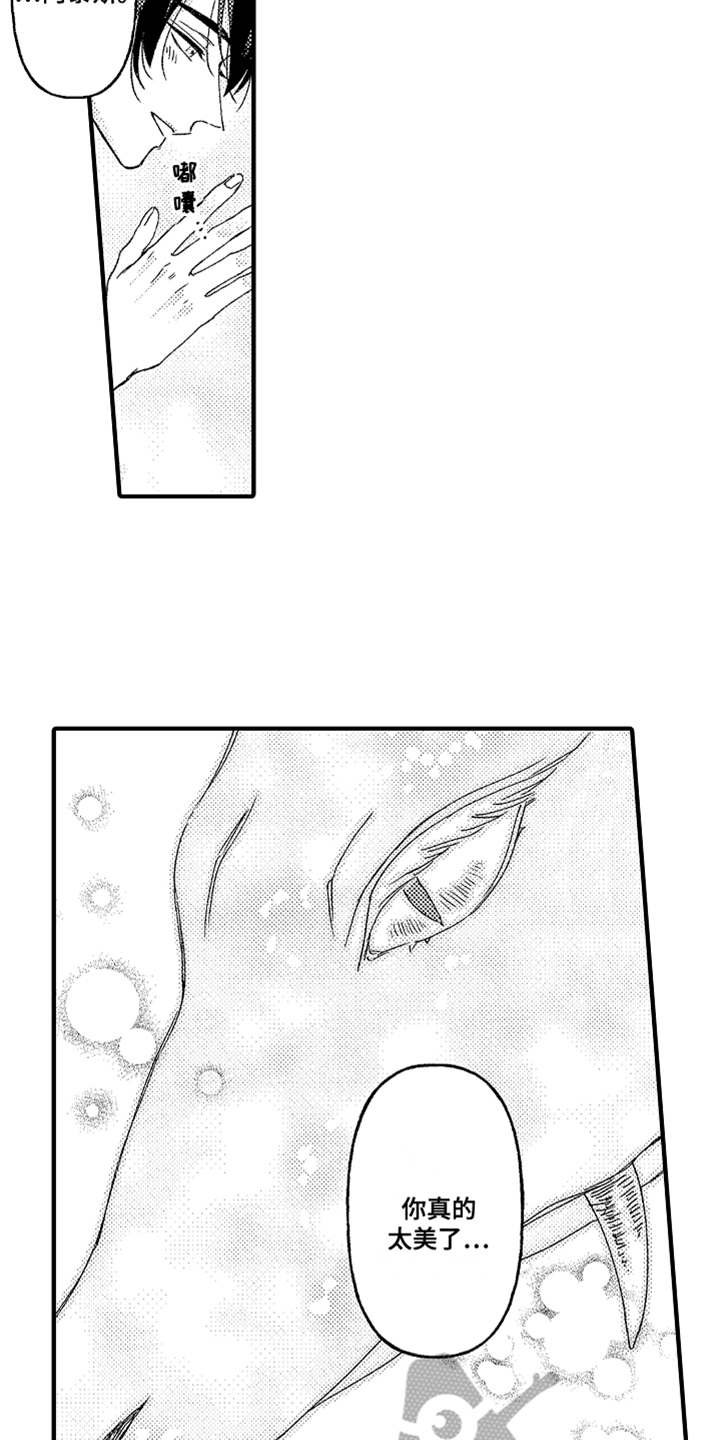 第10章：太美了