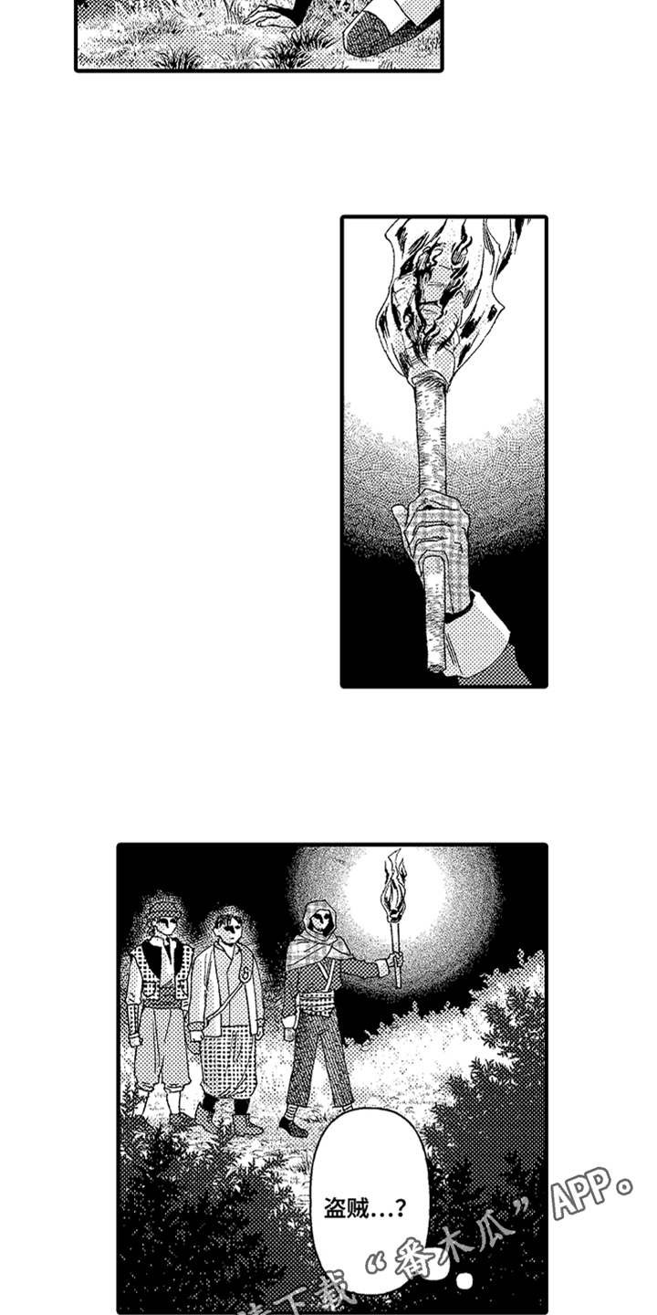 第16章：山贼