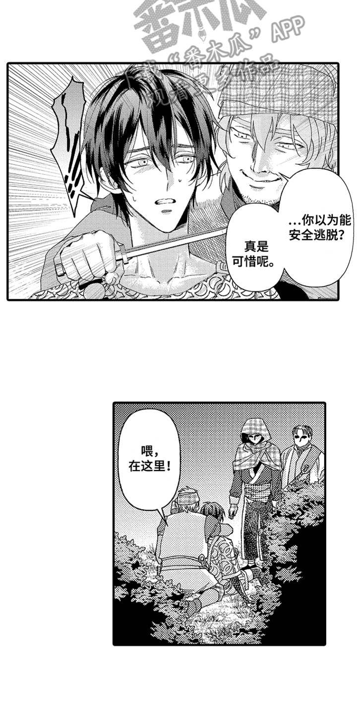 第16章：山贼