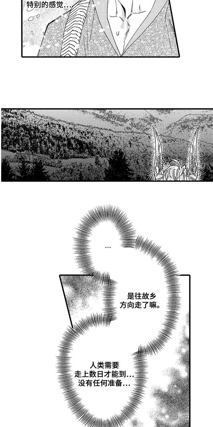第19章：喊声