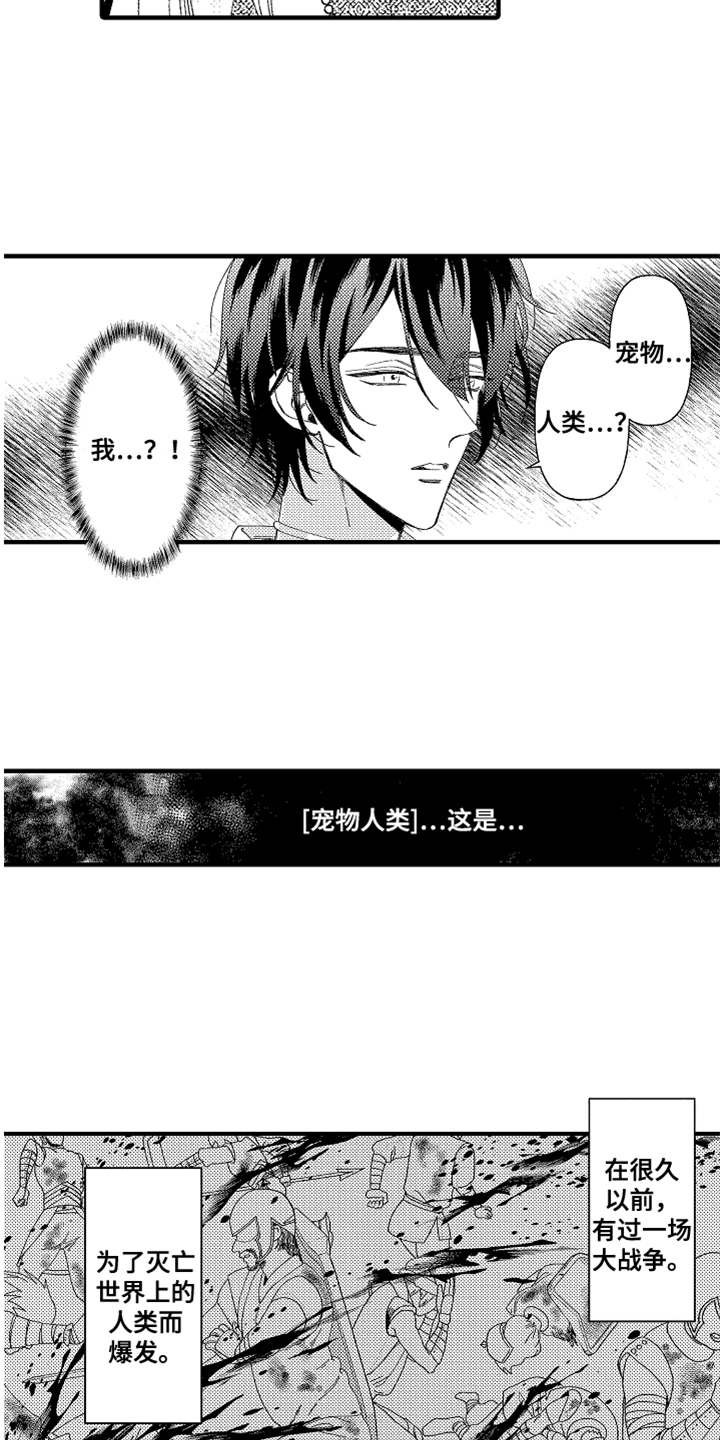 第2章：宠物