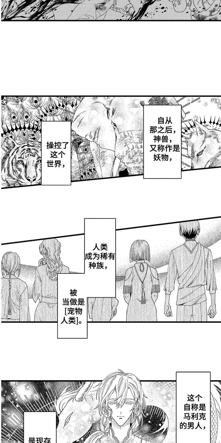 第2章：宠物