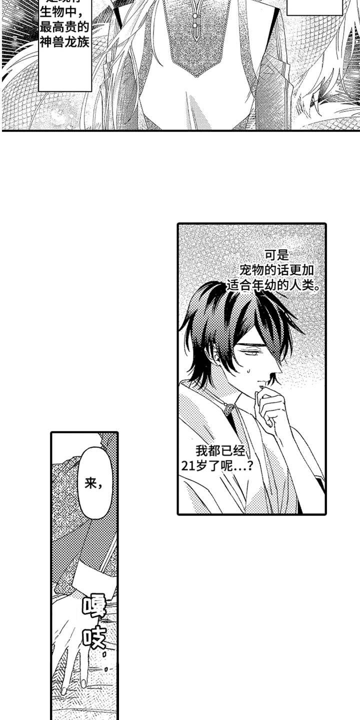 第2章：宠物