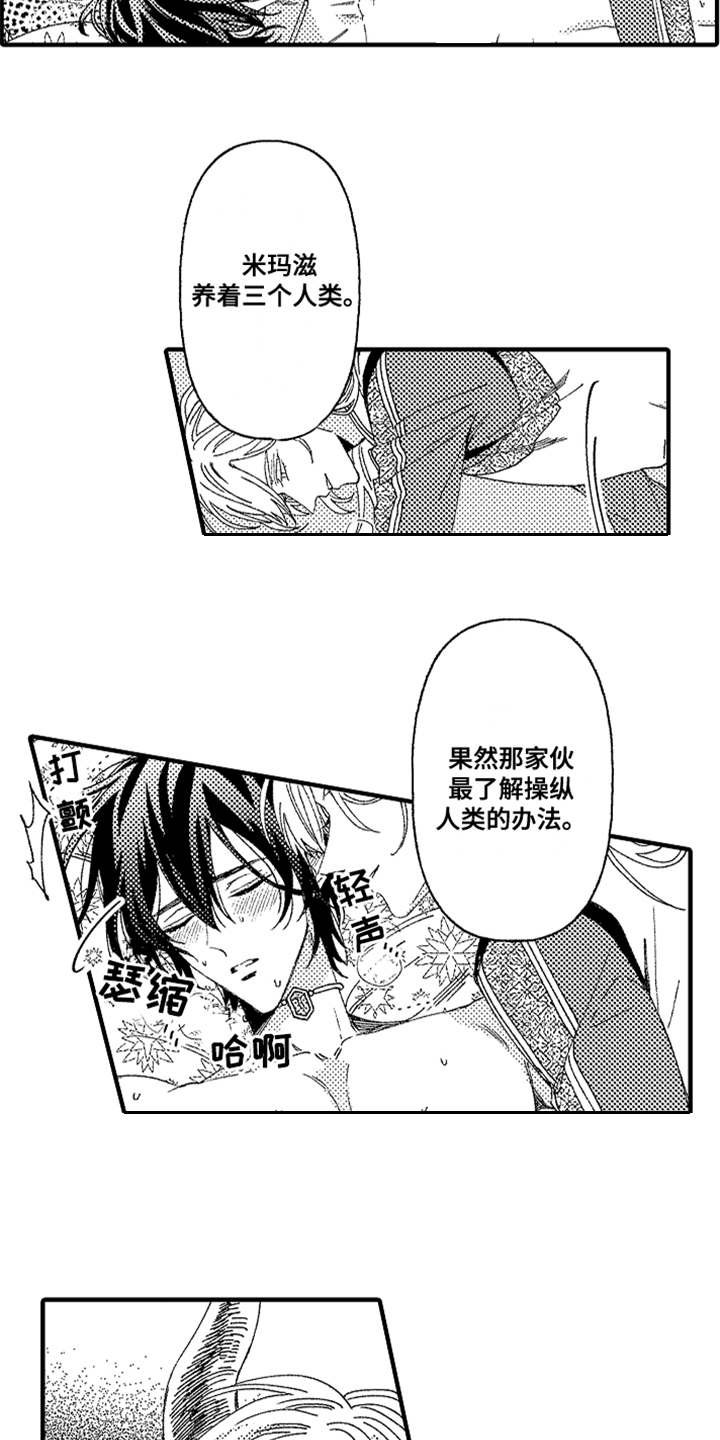 第2章：宠物
