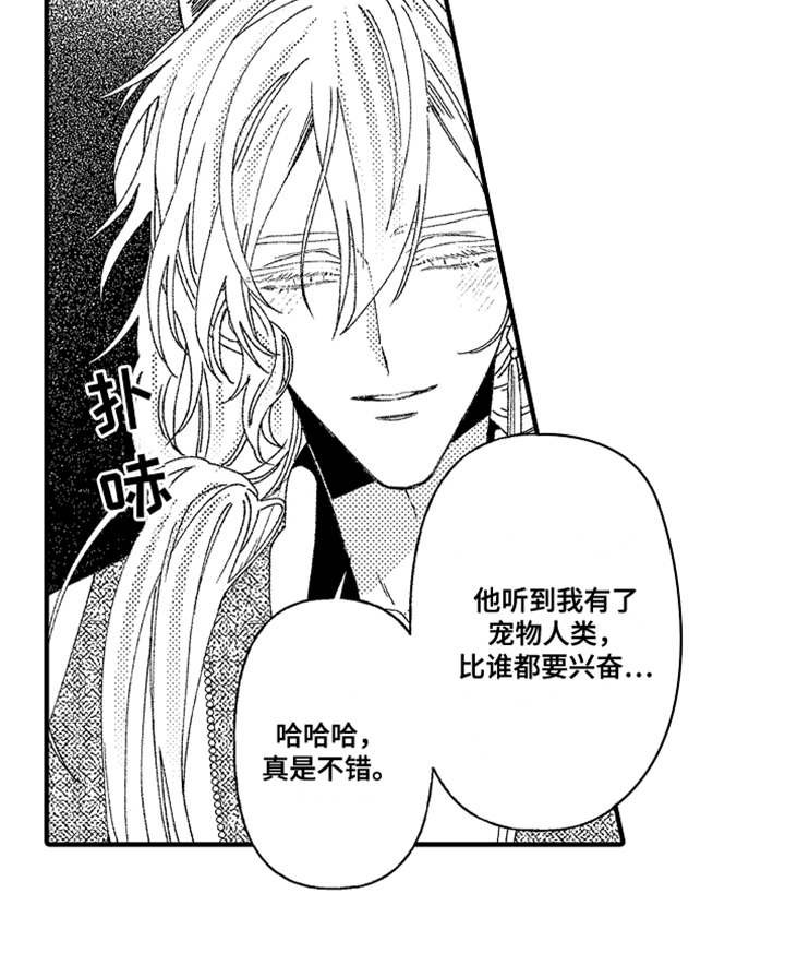 第2章：宠物