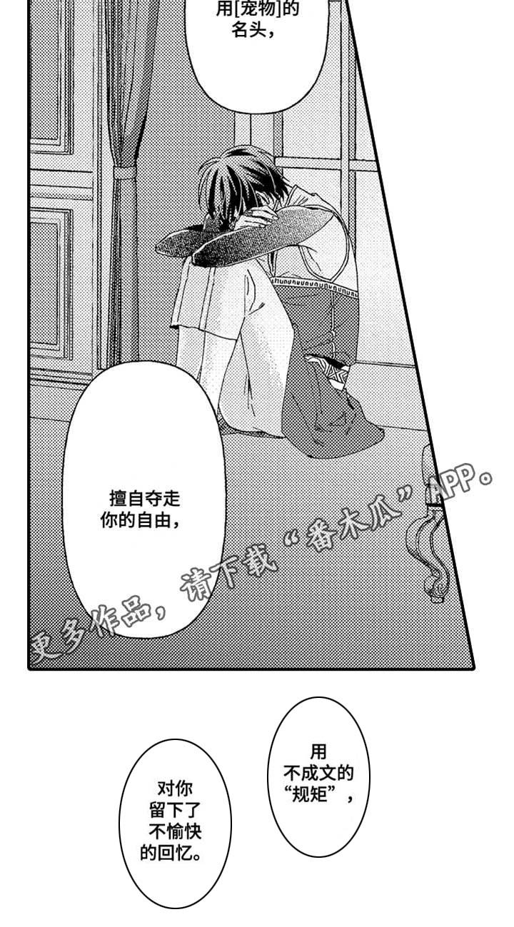 第23章：心结