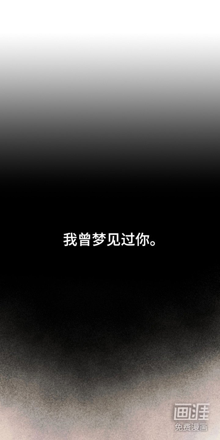 第1章：昔日之花