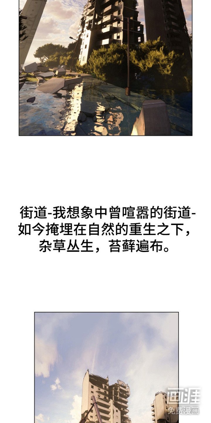 第1章：昔日之花