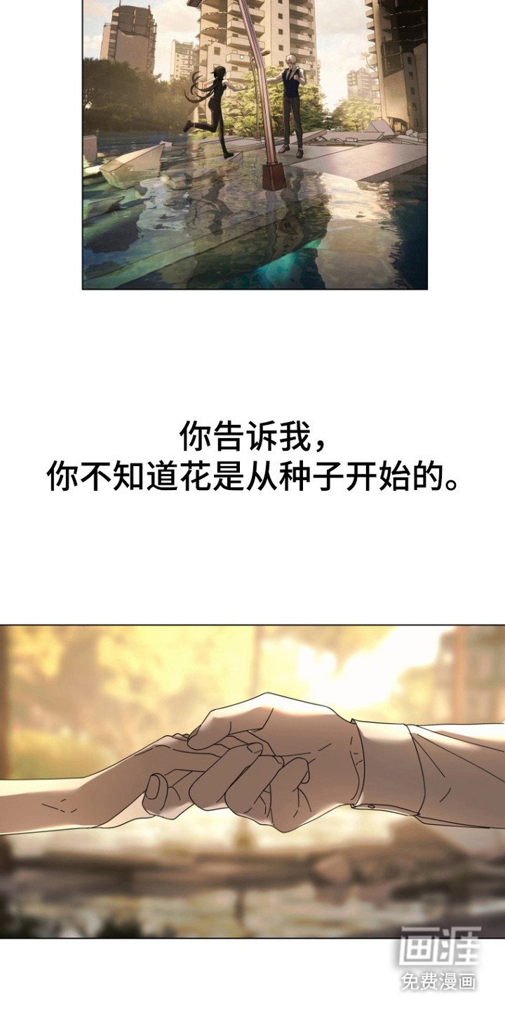 第1章：昔日之花