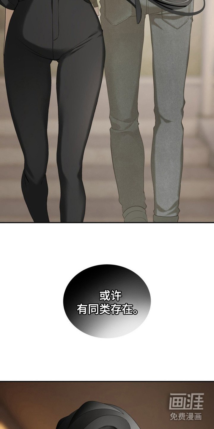 第7章：额外福利