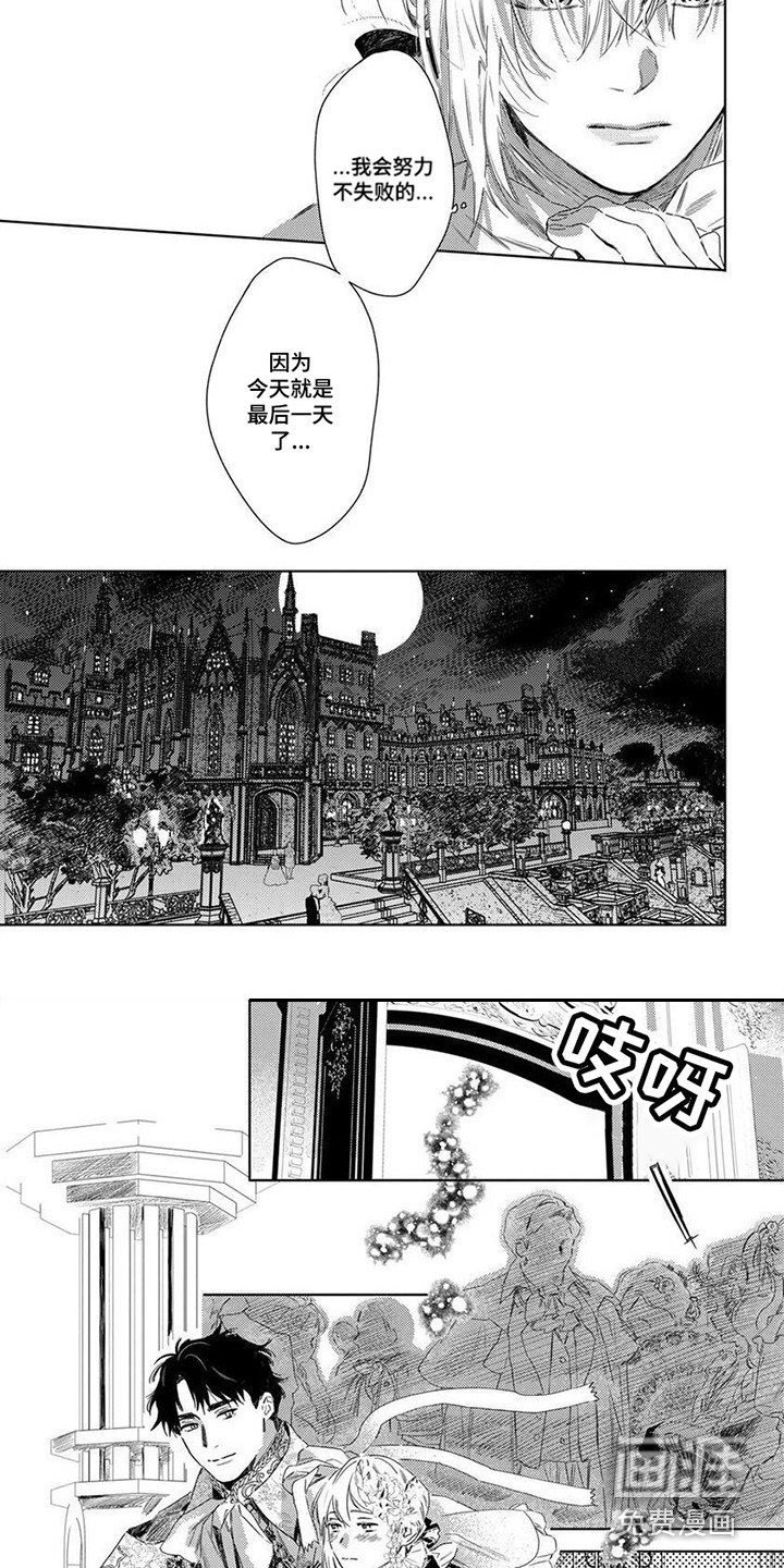 第14章：舞会