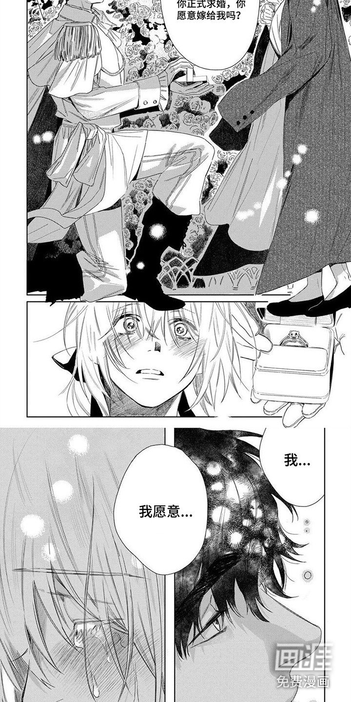 第28章：求婚