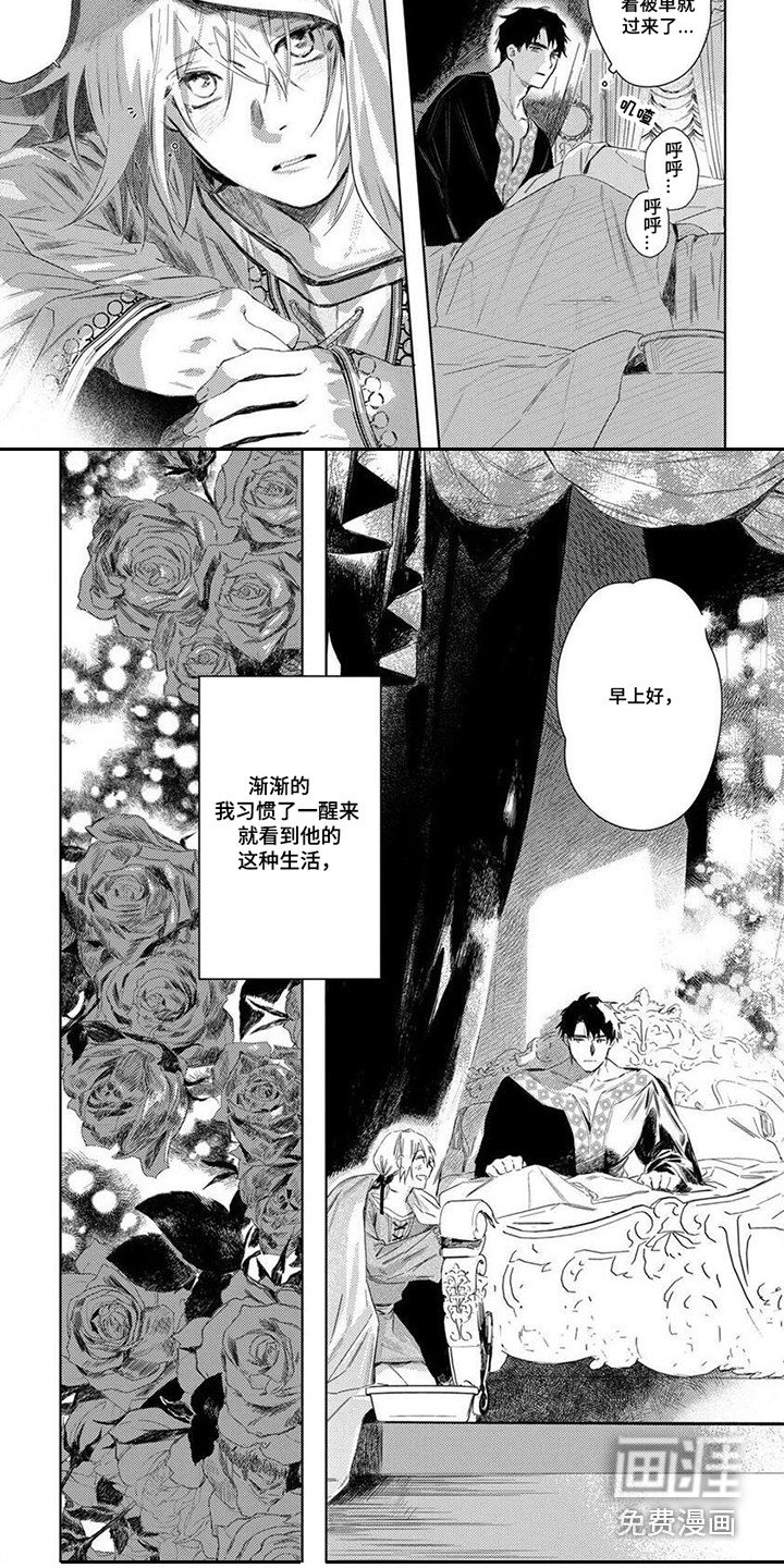 第7章：逐渐习惯
