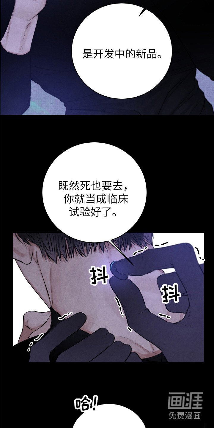 第8章：镇定剂