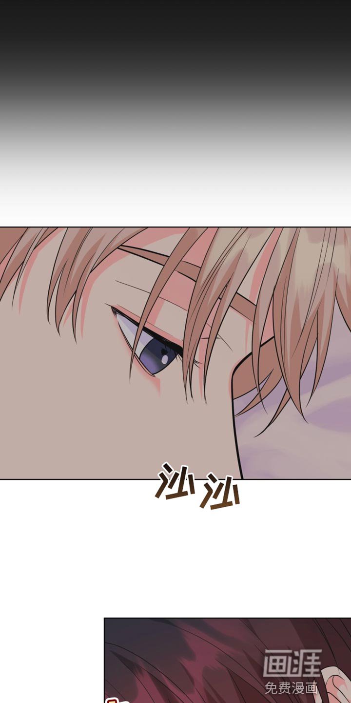 第135章：【第二季】我们不会再分开（完结）