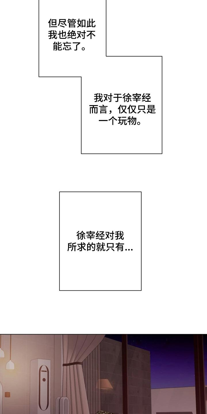 第21章：玩物