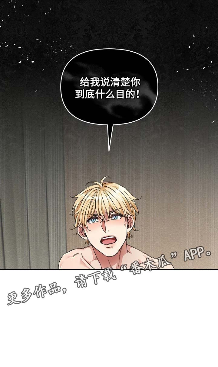 第16章：什么目的